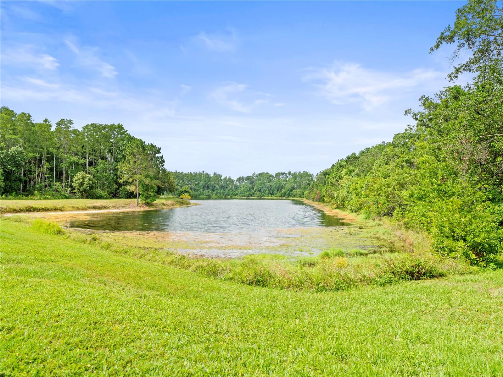 14134 TROUVILLE DR, TAMPA, FL, 33624