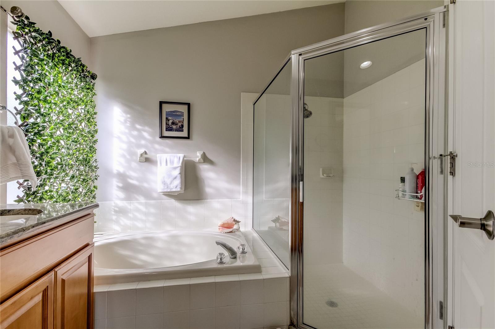 10126 KINGSBRIDGE AVE, TAMPA, FL, 33626