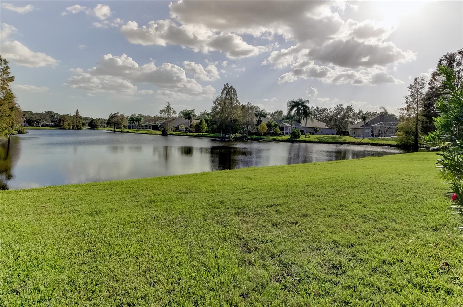 10126 KINGSBRIDGE AVE, TAMPA, FL, 33626