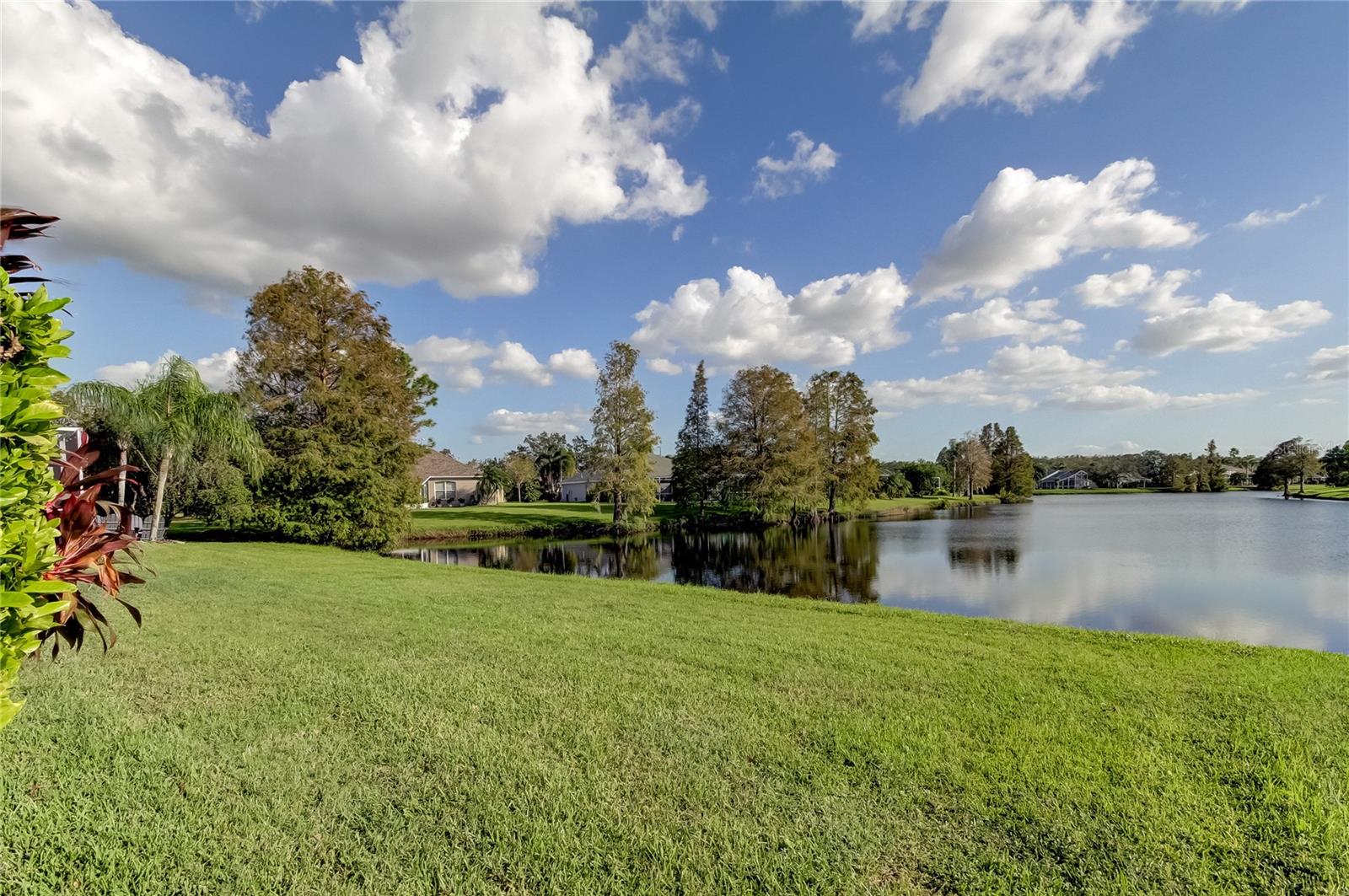 10126 KINGSBRIDGE AVE, TAMPA, FL, 33626