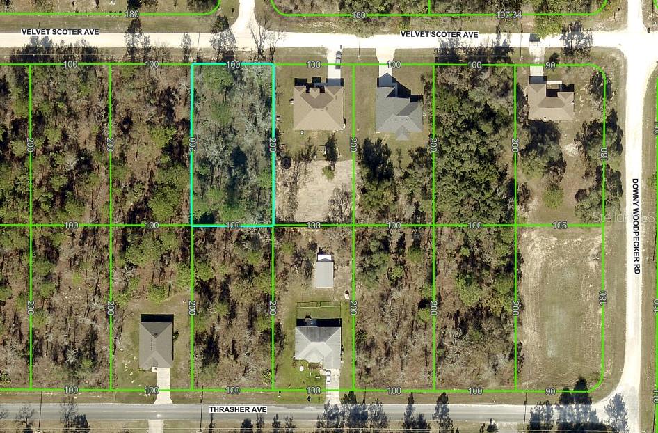 13358 VELVET SCOTER AVE, BROOKSVILLE, FL, 34614