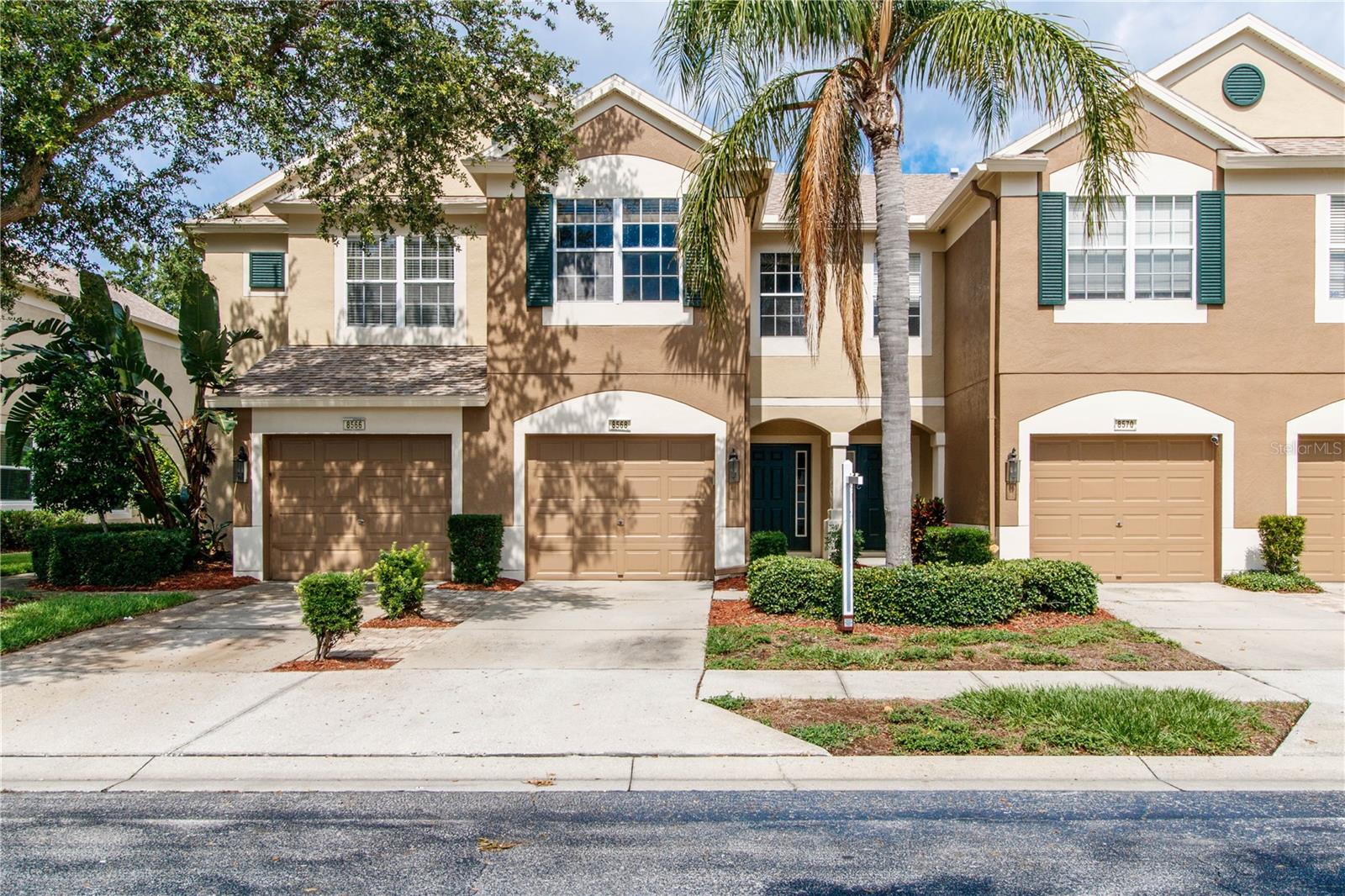 8568 SANDY BEACH ST, TAMPA, FL, 33634