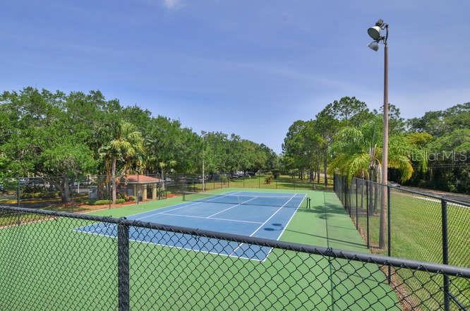 2690 CORAL LANDINGS BLVD #217, PALM HARBOR, FL, 34684