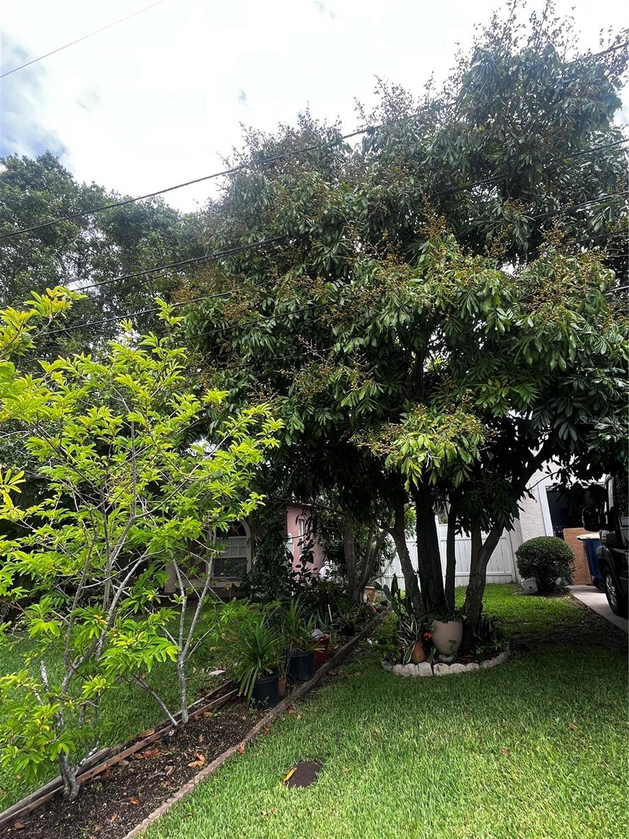 3010 GRAND VIEW AVE, CLEARWATER, FL, 33759