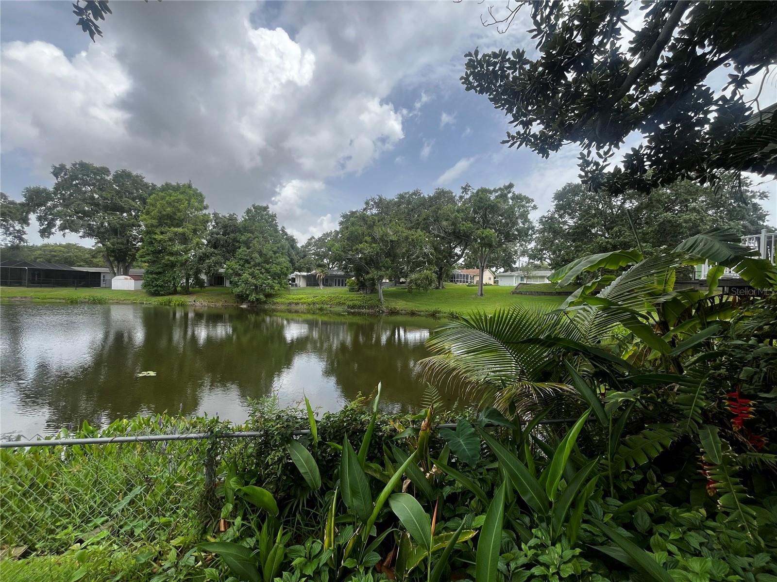 3010 GRAND VIEW AVE, CLEARWATER, FL, 33759