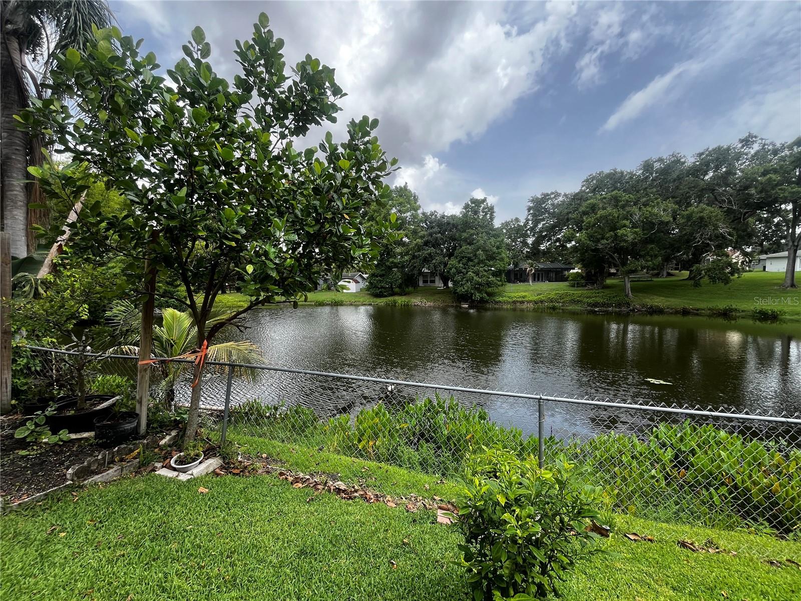 3010 GRAND VIEW AVE, CLEARWATER, FL, 33759