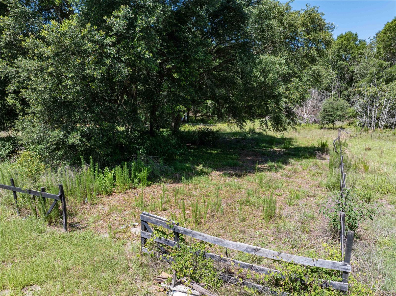 801 SW DAISY RD, LAKE CITY, FL, 32024