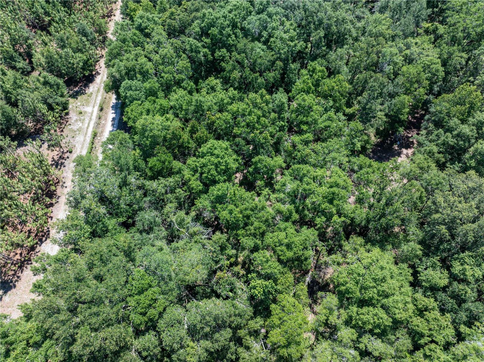 801 SW DAISY RD, LAKE CITY, FL, 32024