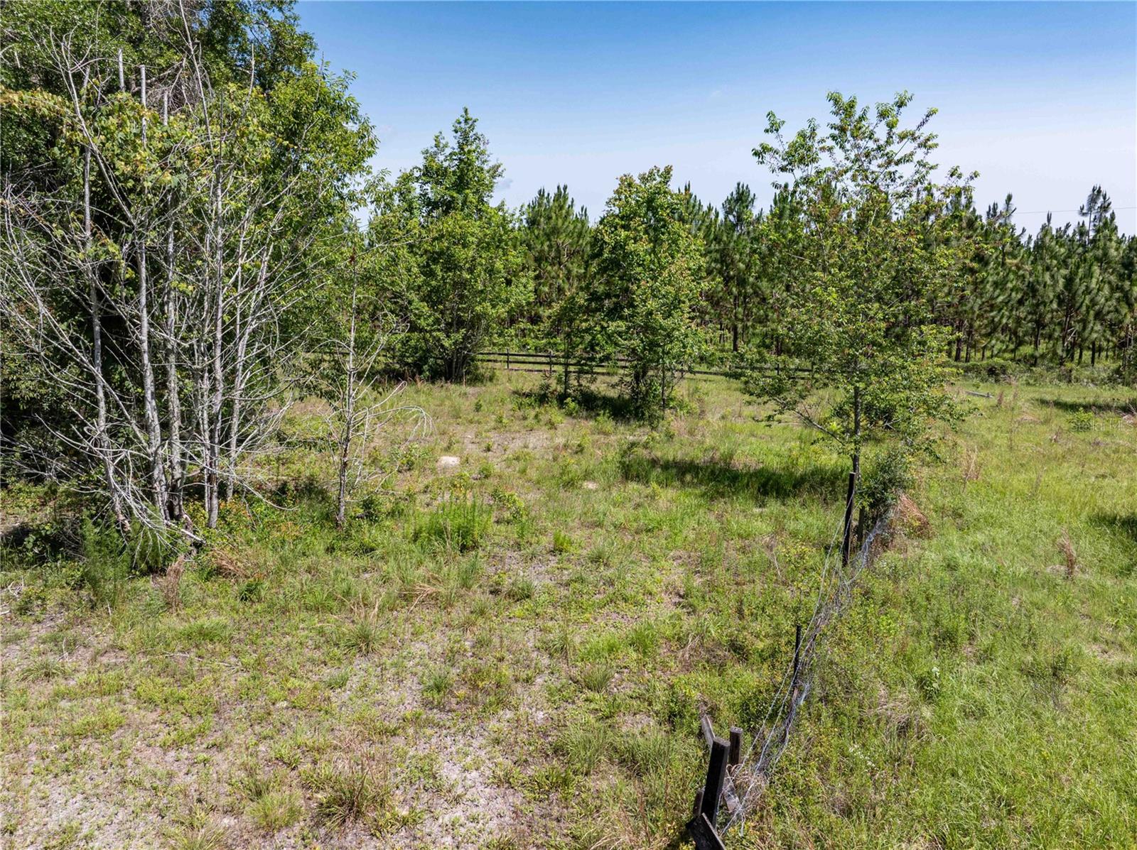 801 SW DAISY RD, LAKE CITY, FL, 32024