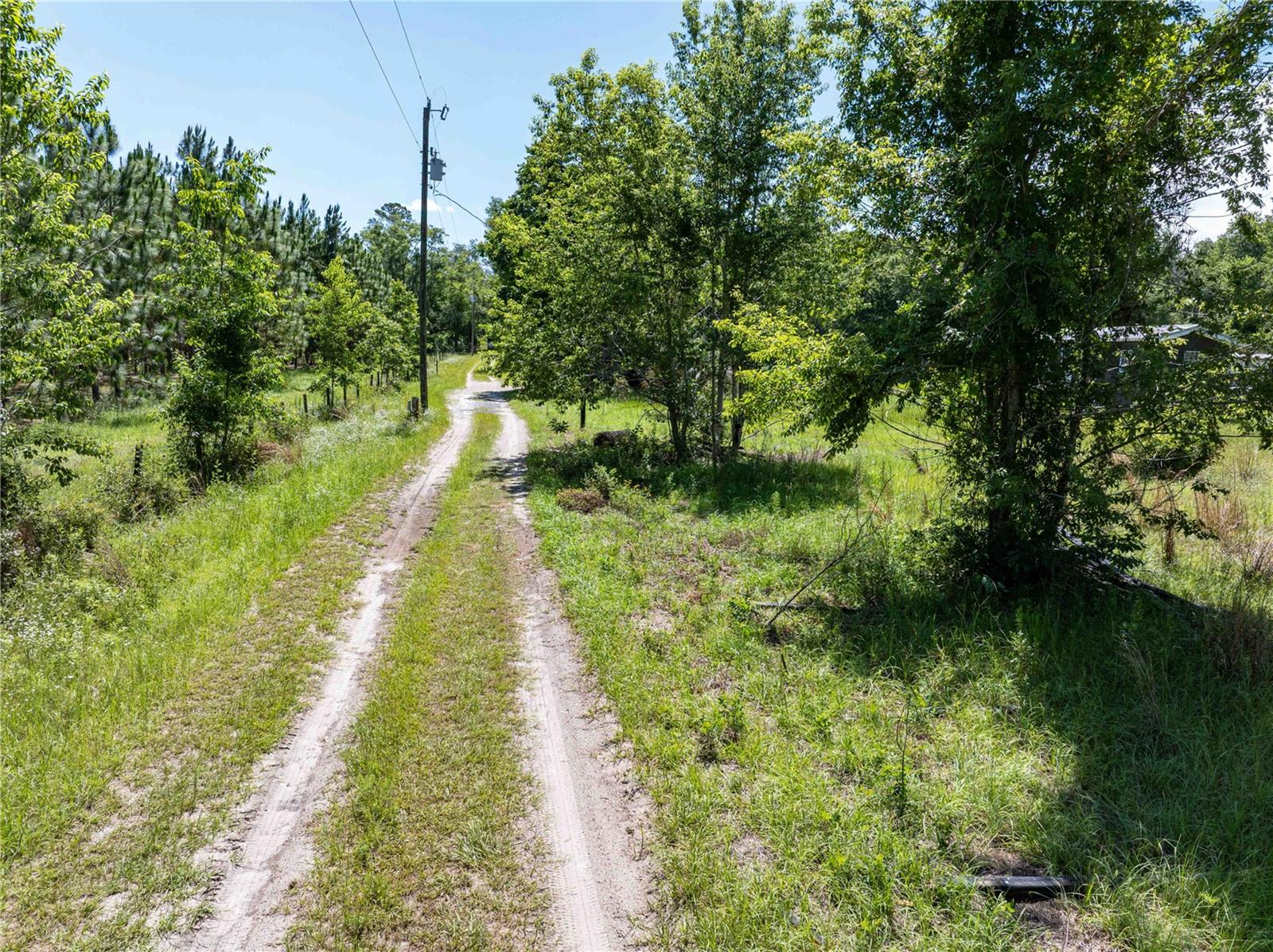 801 SW DAISY RD, LAKE CITY, FL, 32024