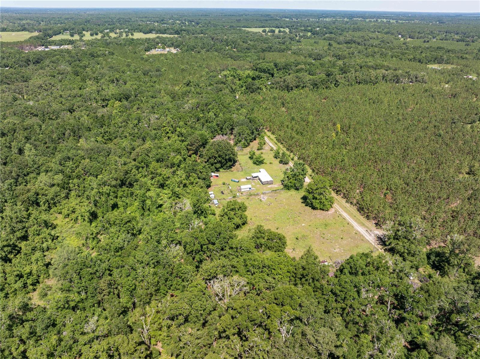 801 SW DAISY RD, LAKE CITY, FL, 32024