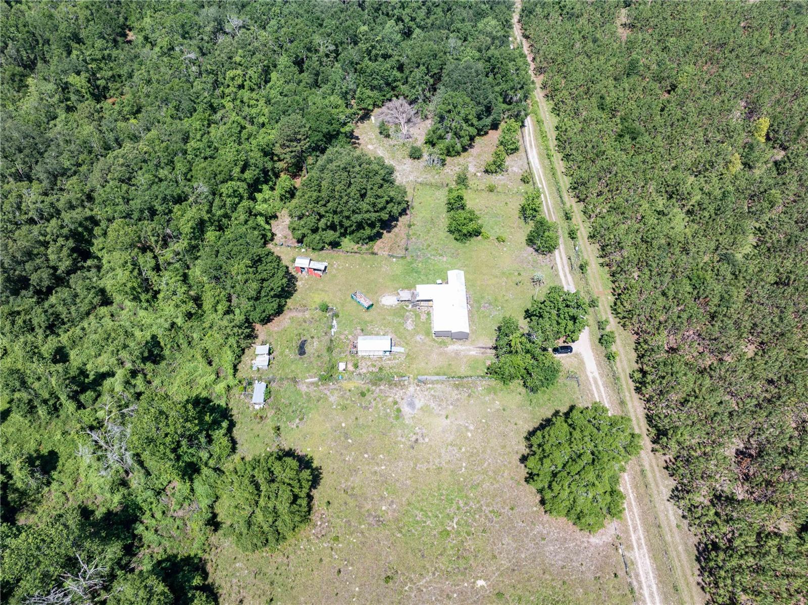 801 SW DAISY RD, LAKE CITY, FL, 32024