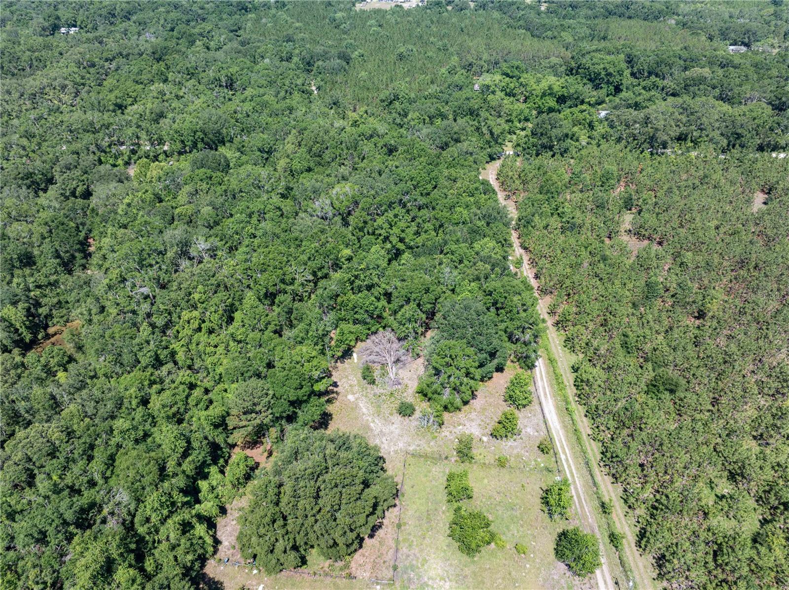 801 SW DAISY RD, LAKE CITY, FL, 32024