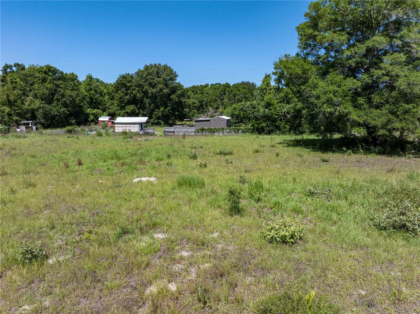 801 SW DAISY RD, LAKE CITY, FL, 32024