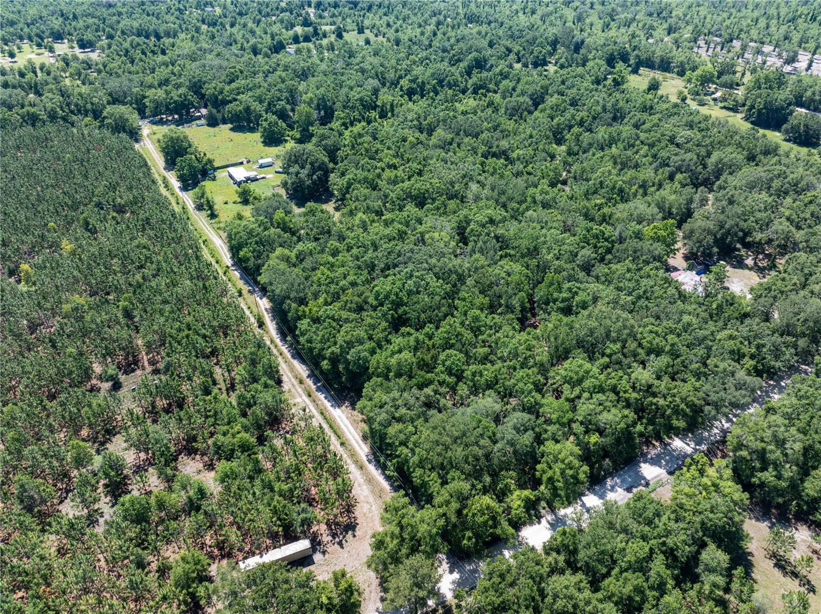 801 SW DAISY RD, LAKE CITY, FL, 32024