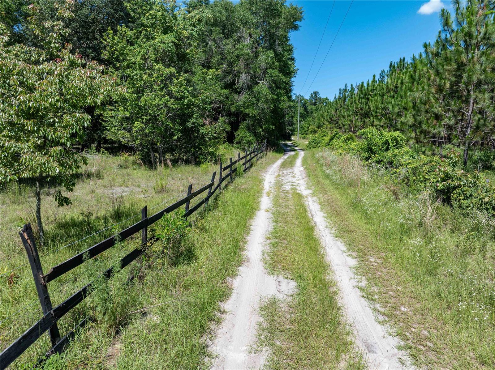 801 SW DAISY RD, LAKE CITY, FL, 32024