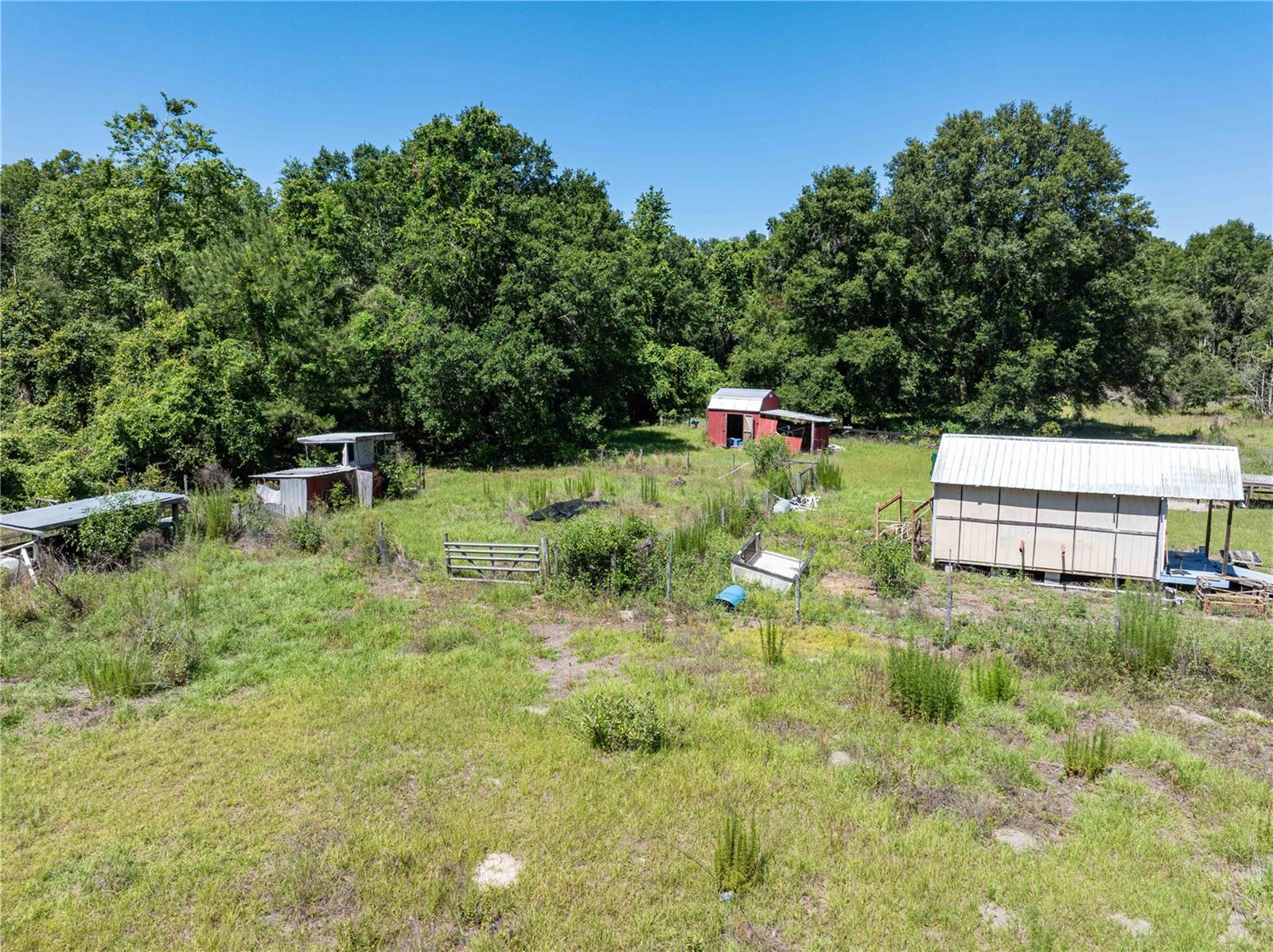 801 SW DAISY RD, LAKE CITY, FL, 32024