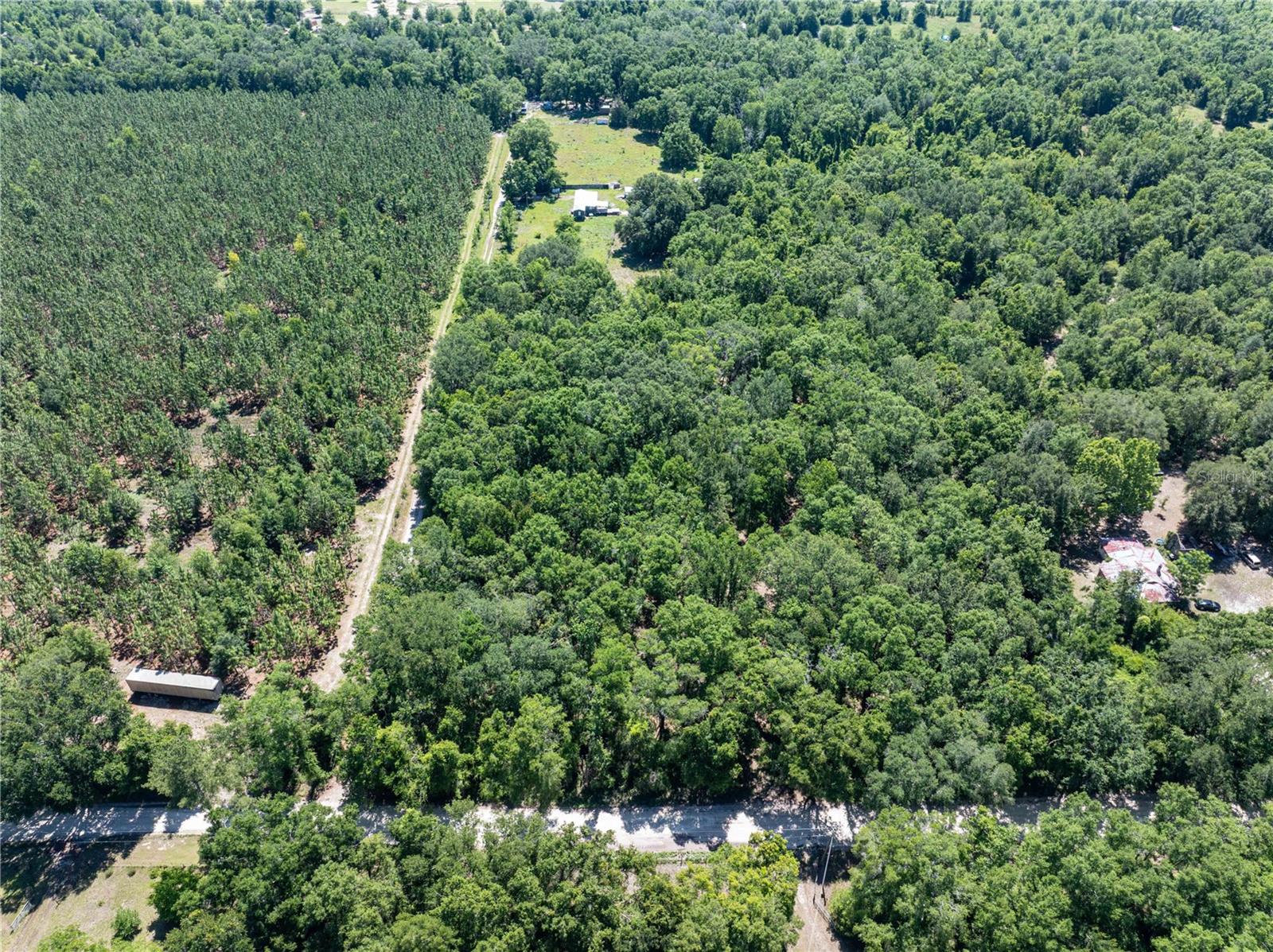 801 SW DAISY RD, LAKE CITY, FL, 32024