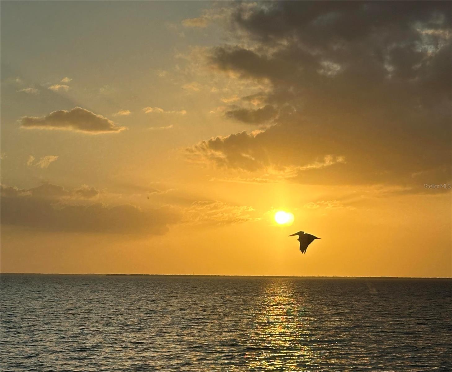 1 COLONY POINT DR #B20, PUNTA GORDA, FL, 33950