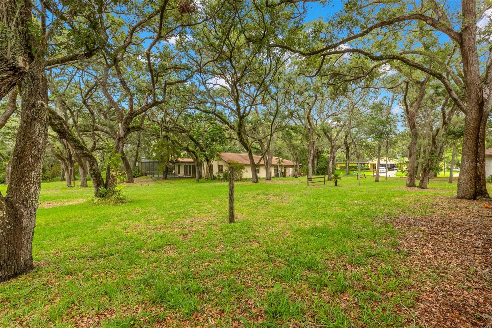 56 BAY WOODS DR, SAFETY HARBOR, FL, 34695