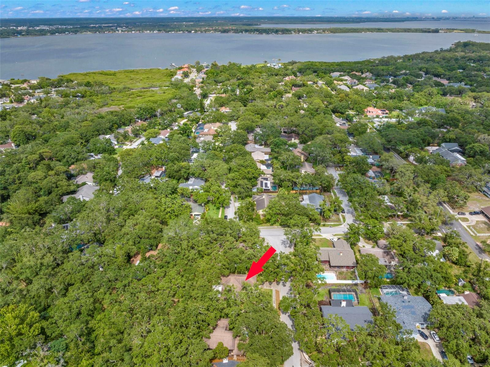 56 BAY WOODS DR, SAFETY HARBOR, FL, 34695