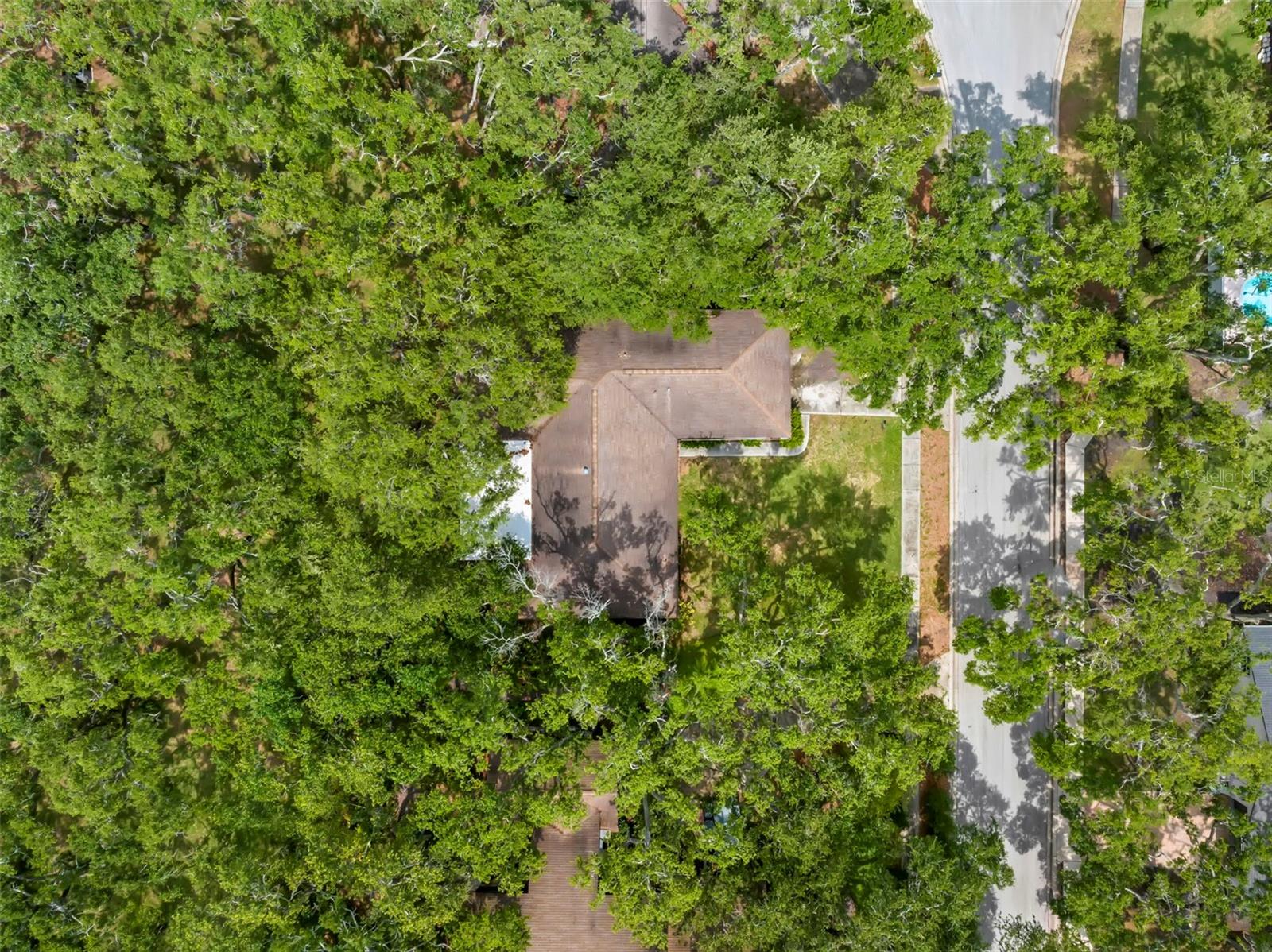 56 BAY WOODS DR, SAFETY HARBOR, FL, 34695