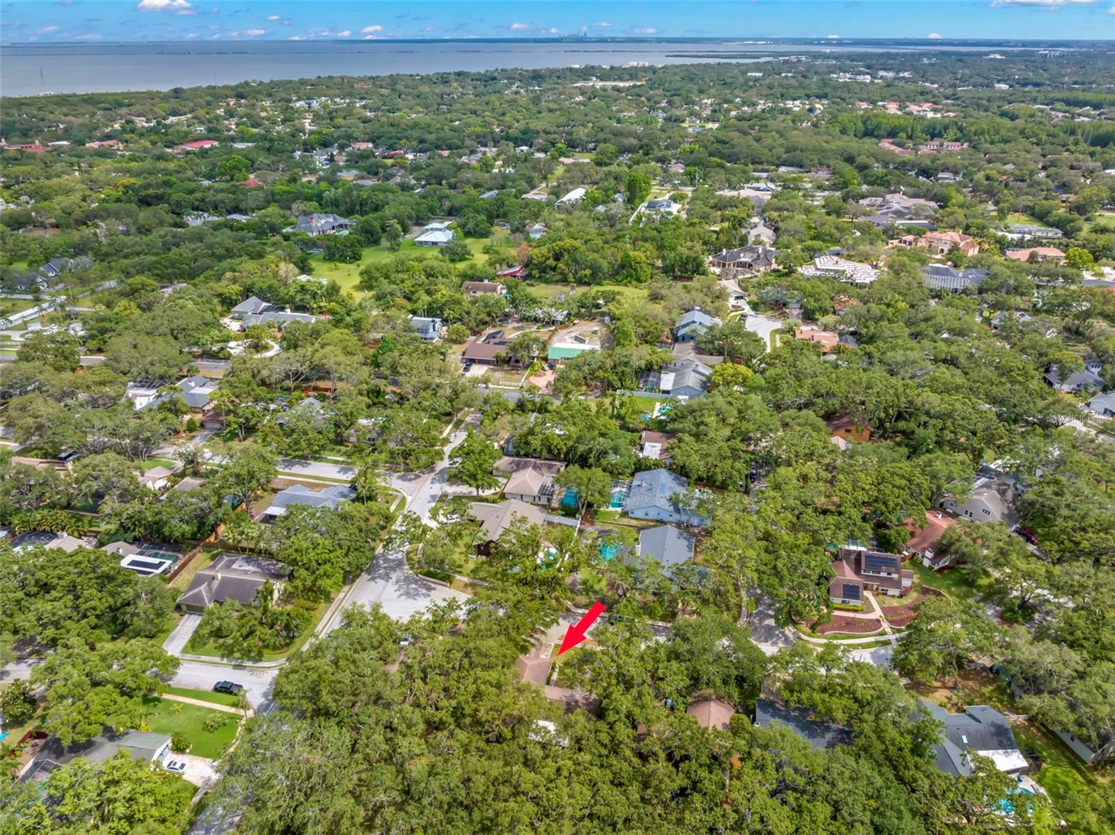 56 BAY WOODS DR, SAFETY HARBOR, FL, 34695