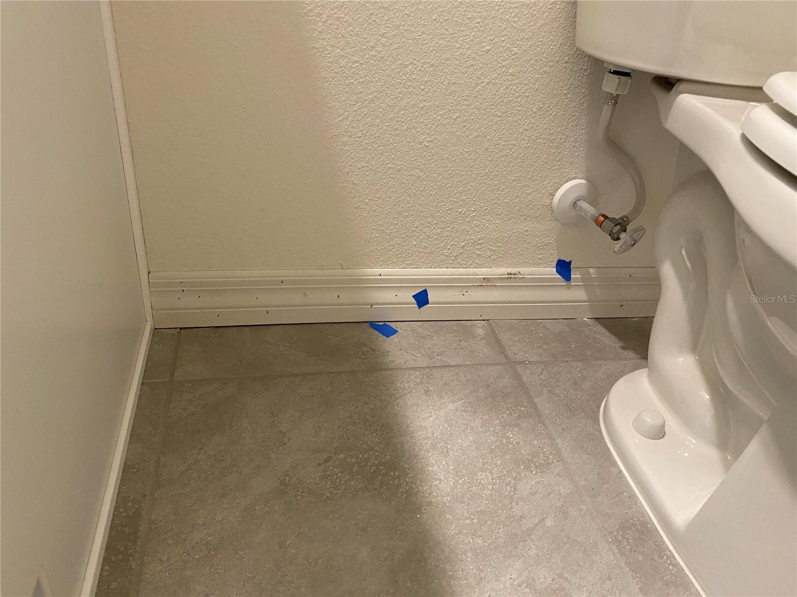 17313 HARVEST MOON WAY, BRADENTON, FL, 34211