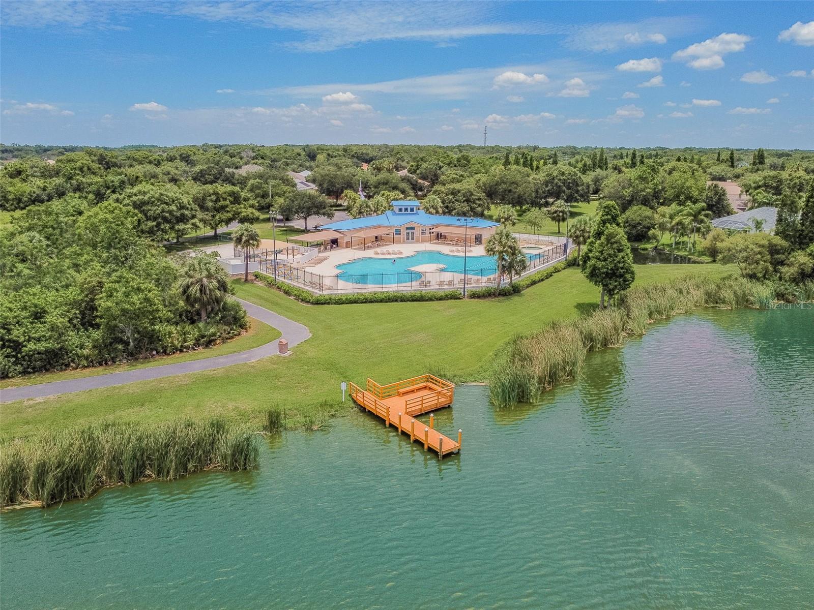 7246 BUCKS FORD DR, RIVERVIEW, FL, 33578