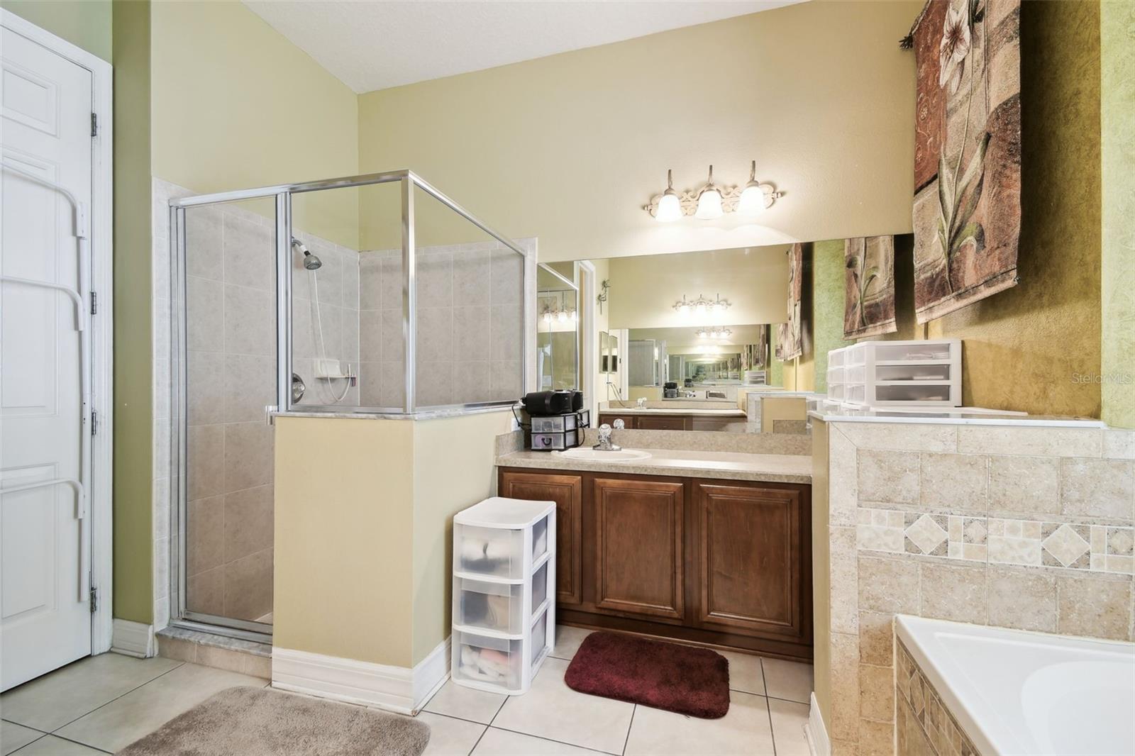 7246 BUCKS FORD DR, RIVERVIEW, FL, 33578