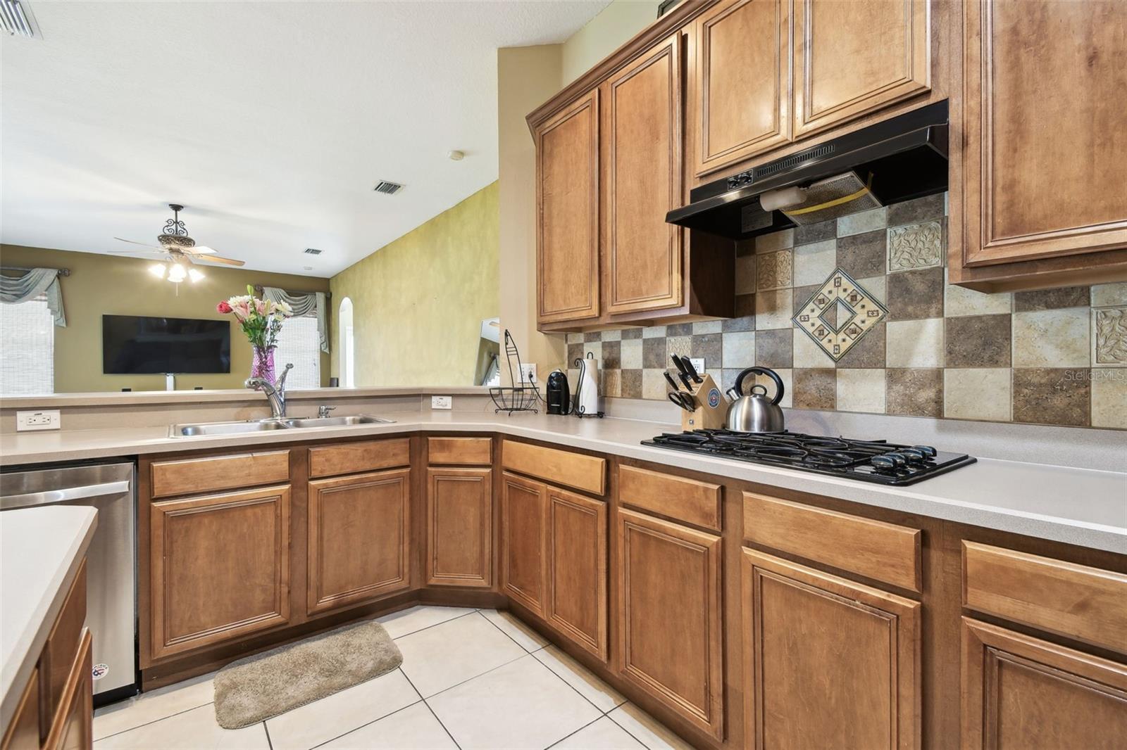 7246 BUCKS FORD DR, RIVERVIEW, FL, 33578