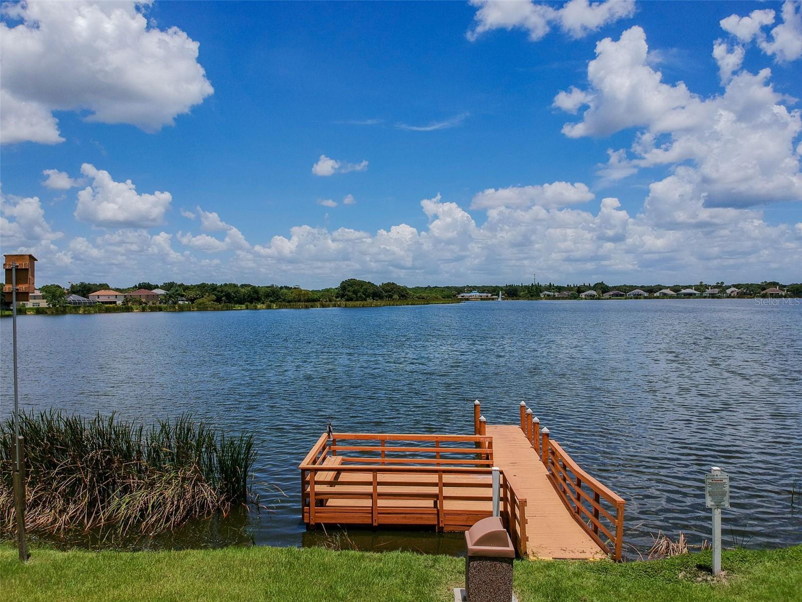 7246 BUCKS FORD DR, RIVERVIEW, FL, 33578