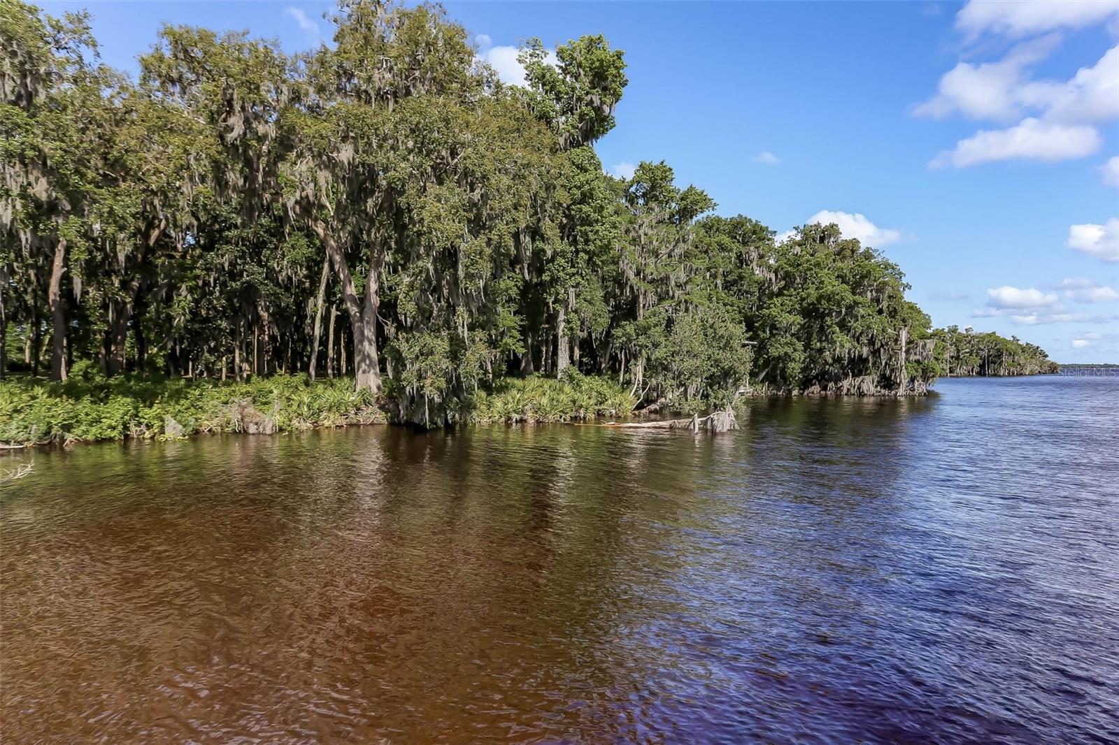 356 WATERFRONT DR, ST JOHNS, FL, 32259