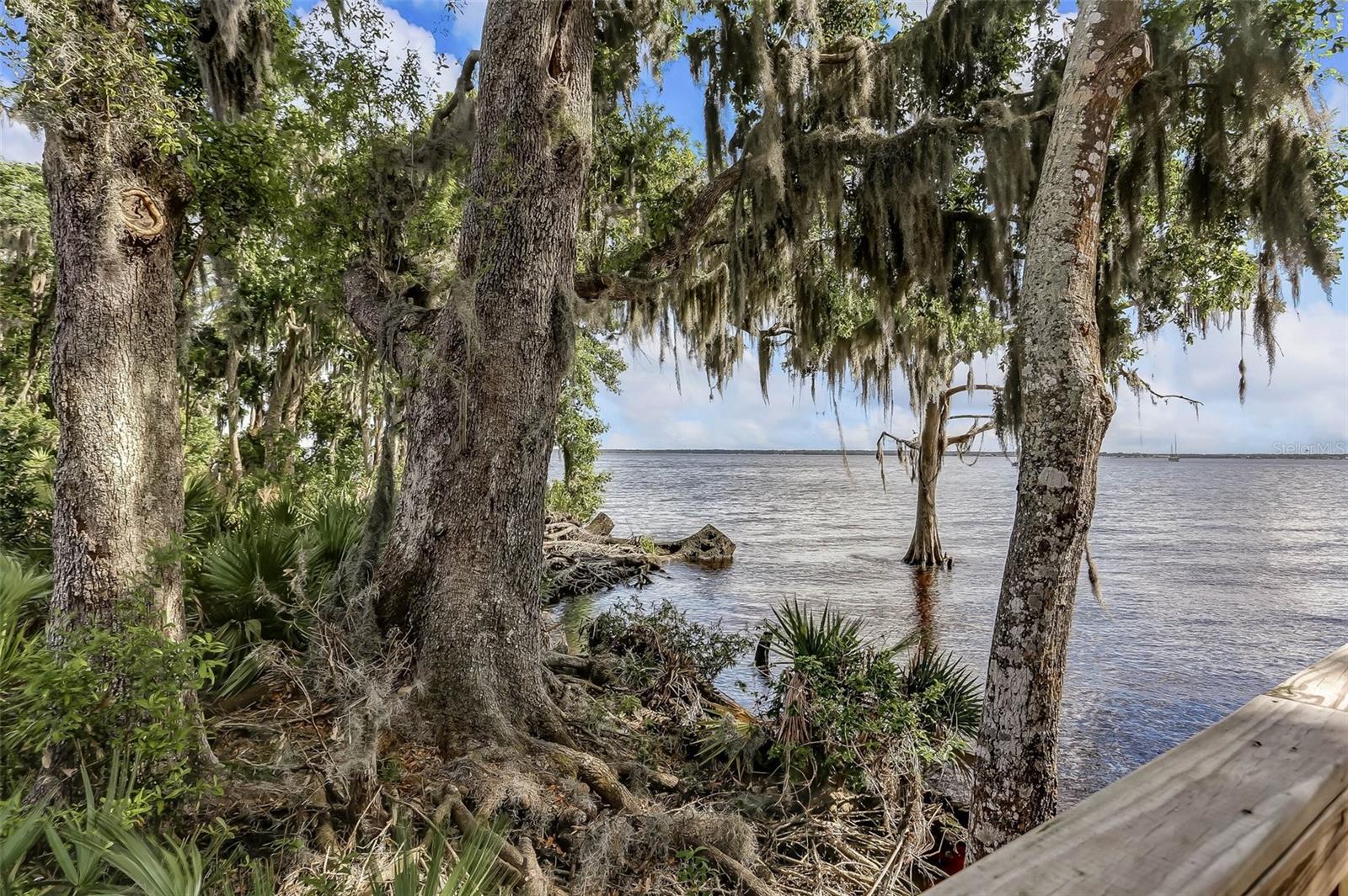 356 WATERFRONT DR, ST JOHNS, FL, 32259