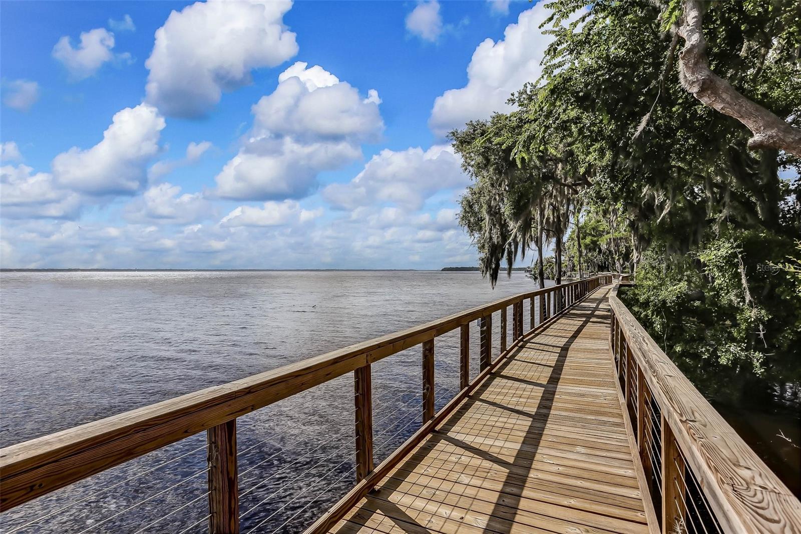 356 WATERFRONT DR, ST JOHNS, FL, 32259