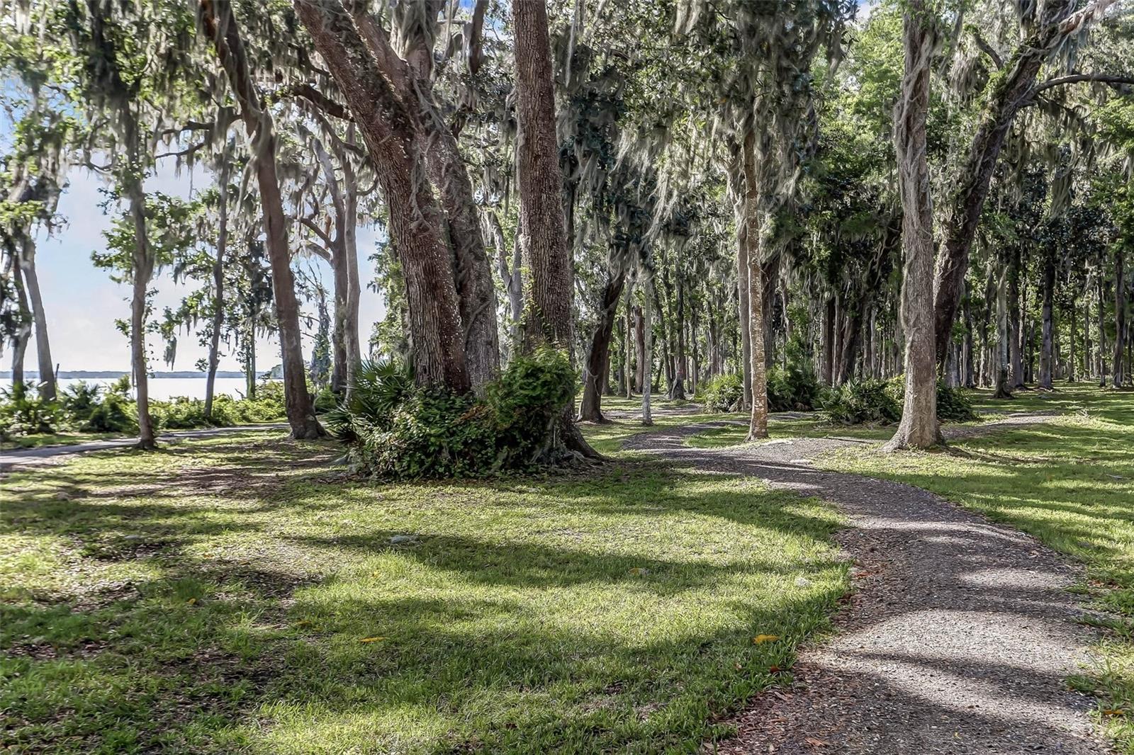 356 WATERFRONT DR, ST JOHNS, FL, 32259