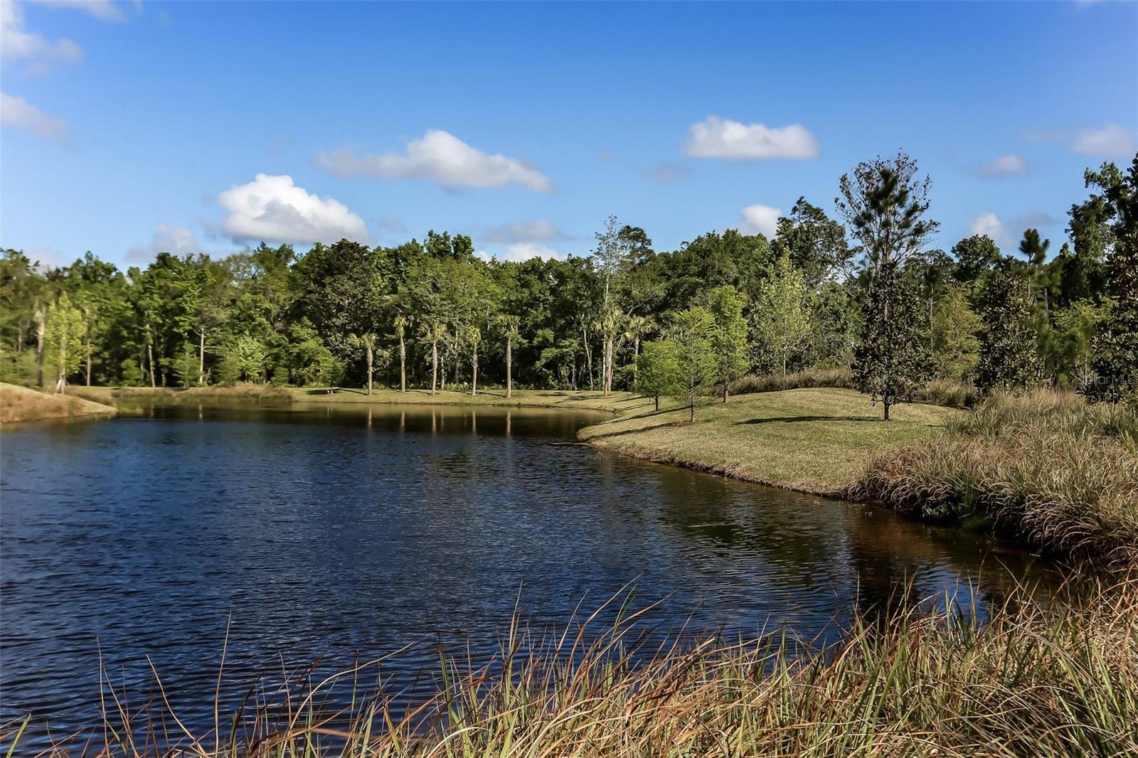 356 WATERFRONT DR, ST JOHNS, FL, 32259