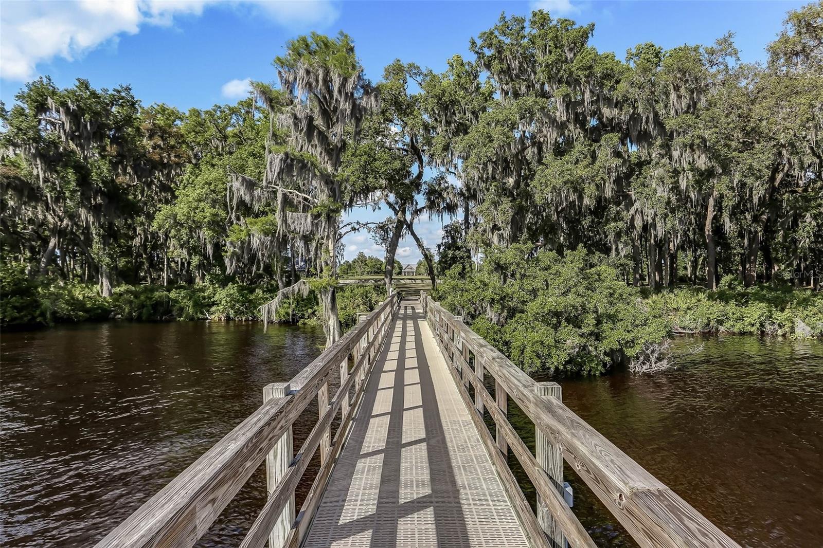 356 WATERFRONT DR, ST JOHNS, FL, 32259