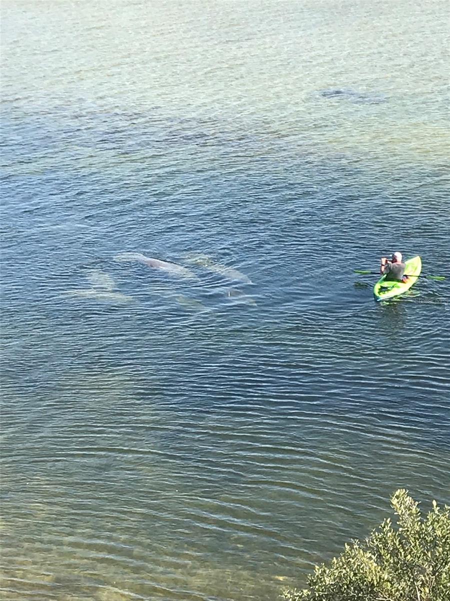 TB8391162 Property Photo