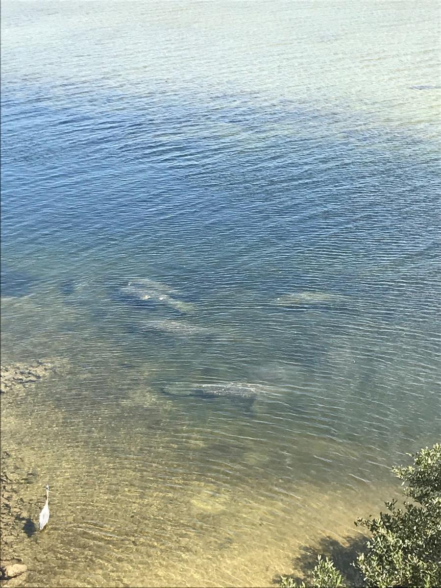 TB8391162 Property Photo