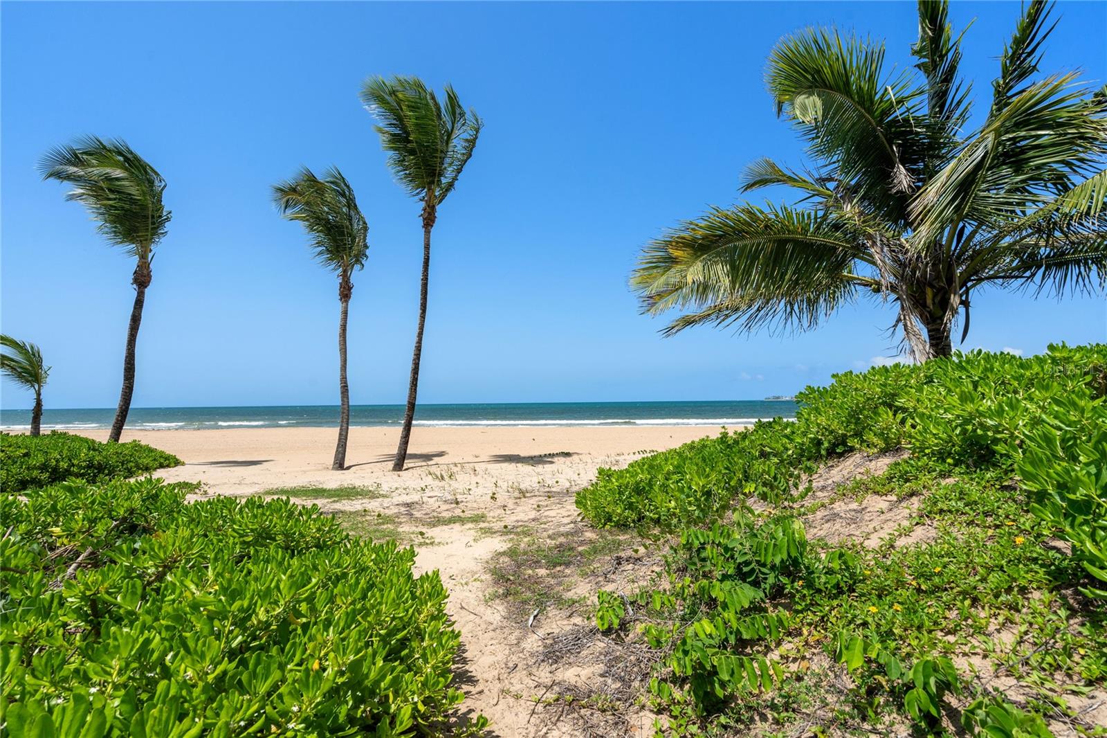 PR9113943 Property Photo