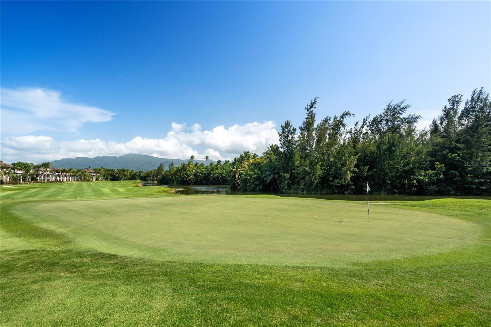 PR9113943 Property Photo