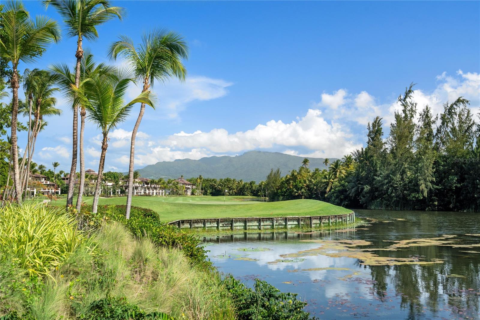 PR9113943 Property Photo