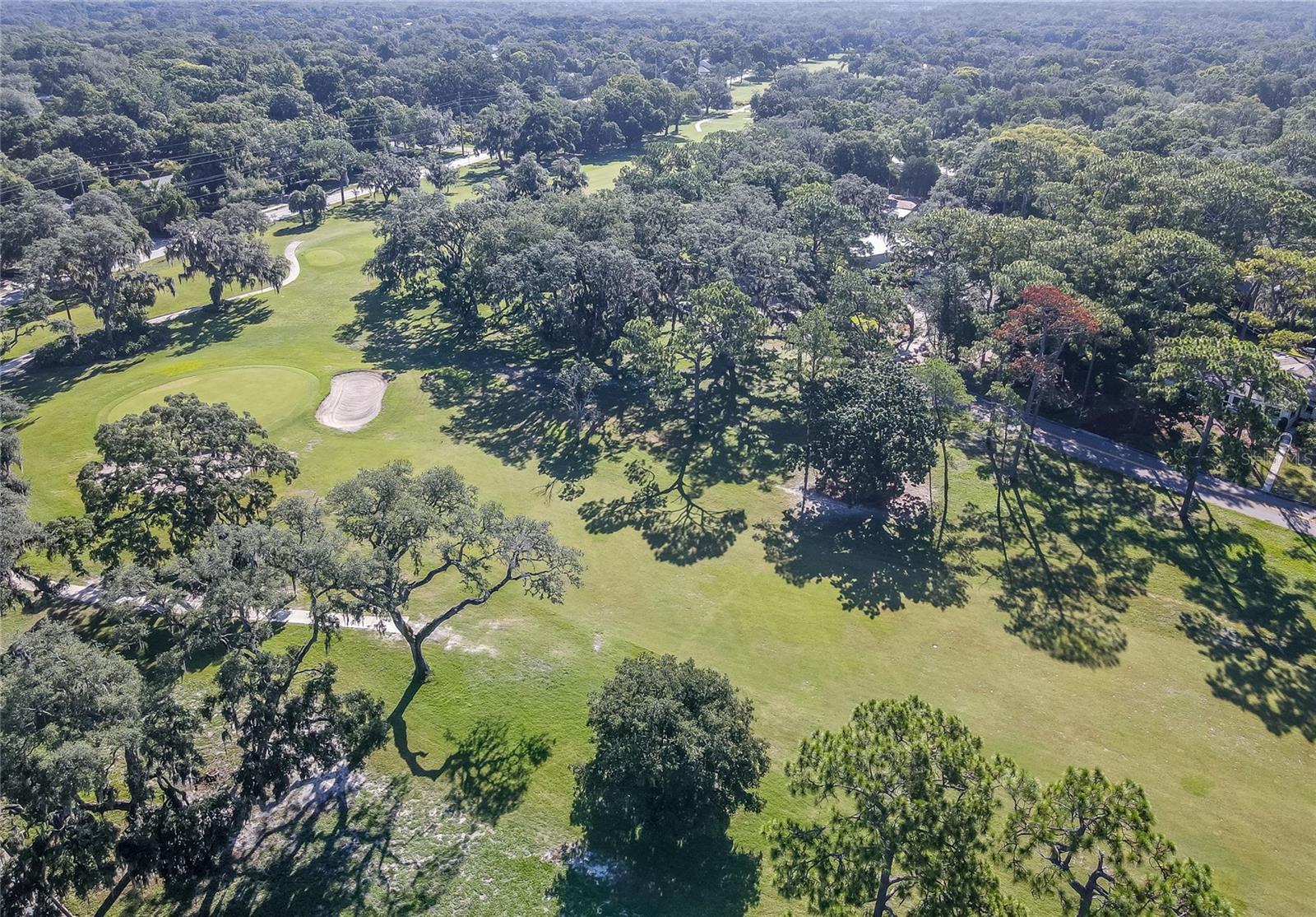 415 MISSION HILLS AVE, TAMPA, FL, 33617