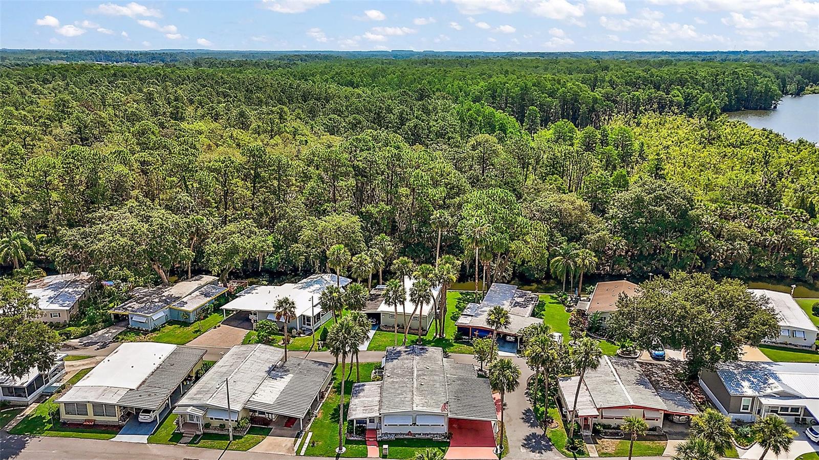 124A SHADY LN, EUSTIS, FL, 32726