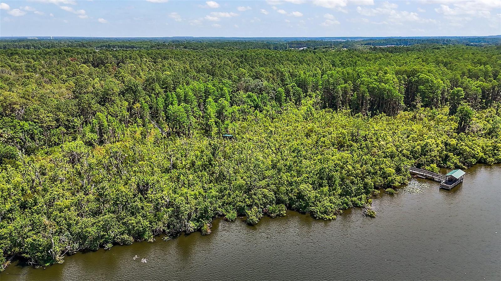 124A SHADY LN, EUSTIS, FL, 32726