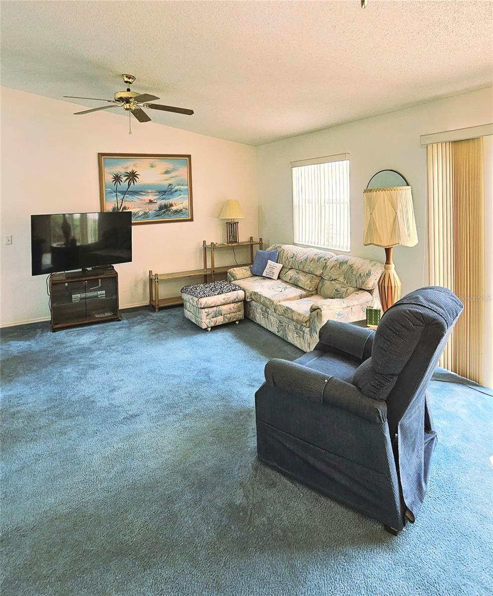 2105 ESCOBAR AVE, THE VILLAGES, FL, 32159