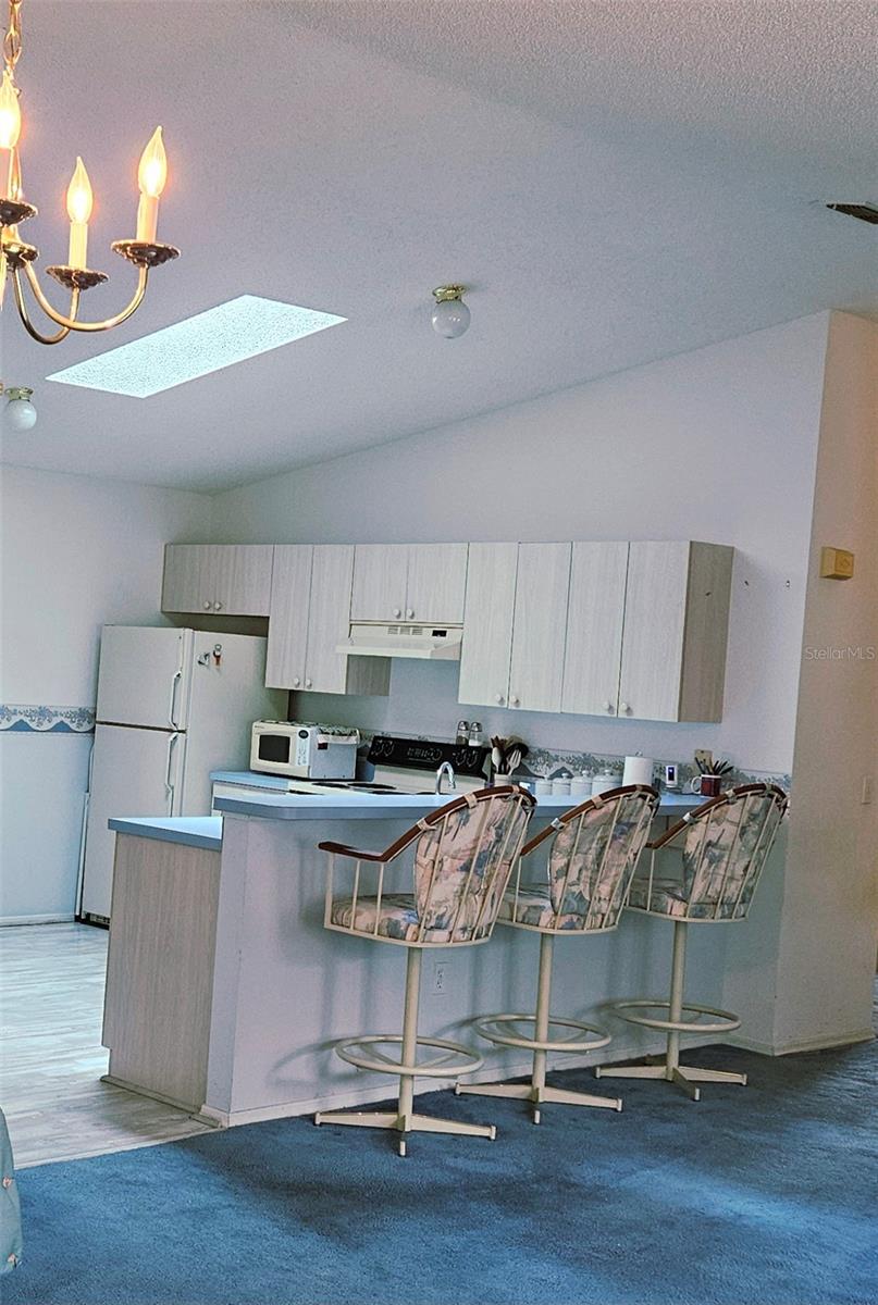 2105 ESCOBAR AVE, THE VILLAGES, FL, 32159