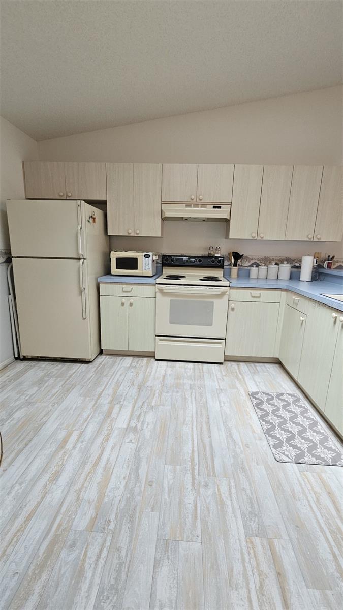 2105 ESCOBAR AVE, THE VILLAGES, FL, 32159