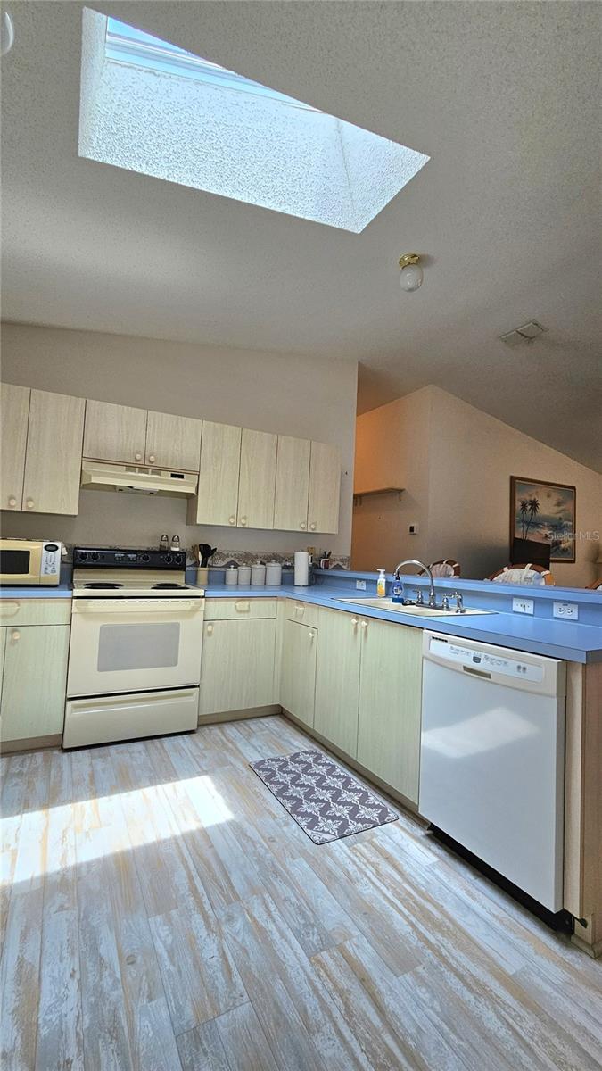 2105 ESCOBAR AVE, THE VILLAGES, FL, 32159